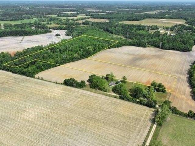 Land for sale in Cottondale, Florida
