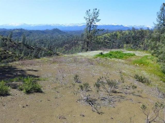 Land for sale in Shasta, California