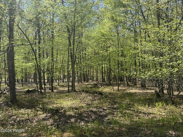 Land for sale in Hawley, Pennsylvania