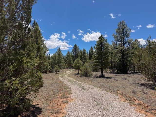 Land for sale in Ramah, New Mexico