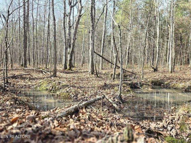 Land for sale in Tennessee