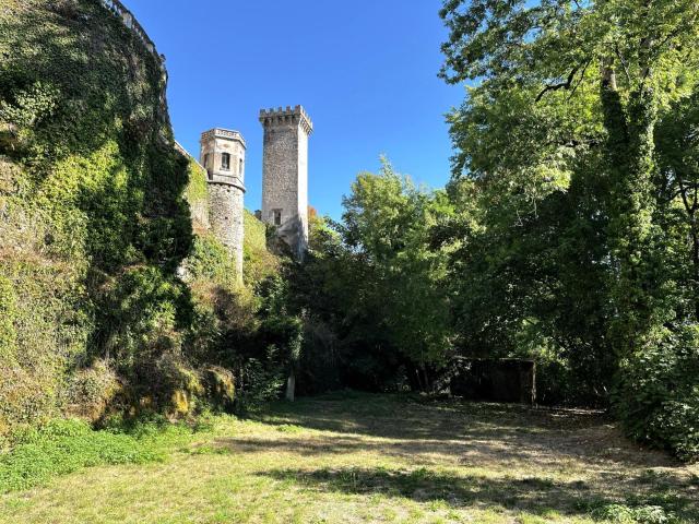 Château vente à Coublanc, Haute-Marne