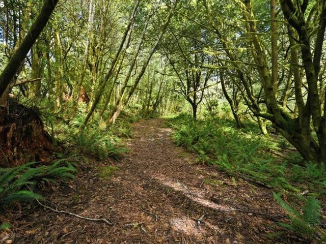 Land for sale in Oregonia
