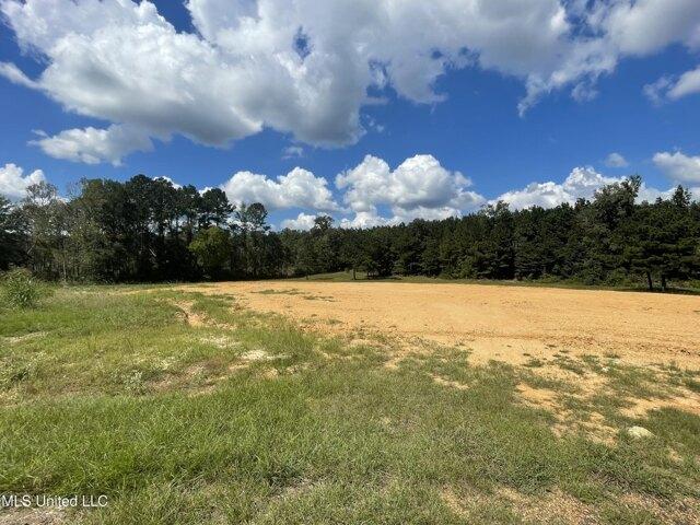 Land for sale in Brookhaven