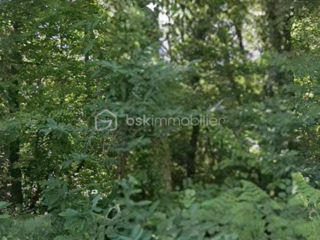 Terrain vente à Périgueux, Coulounieix-chamiers