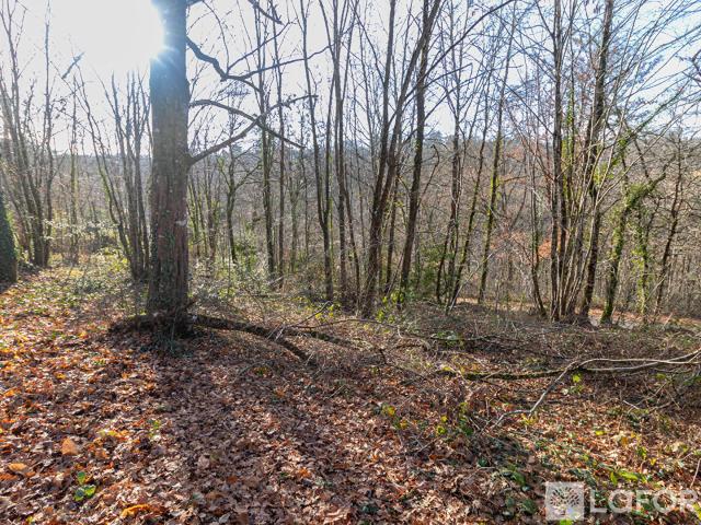 Terrain vente à Périgueux, Coulounieix-chamiers