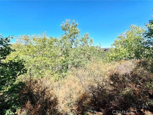 Land for sale in Cedar Glen, California