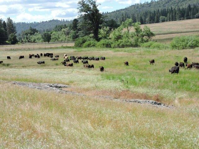 Land for sale in California