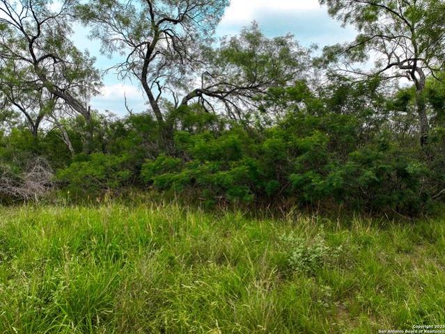 Farm for sale in Medina, Texas