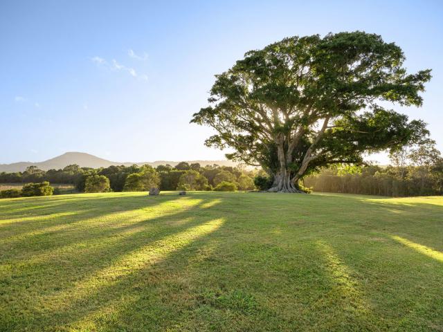Property for sale in Kings Creek, Queensland