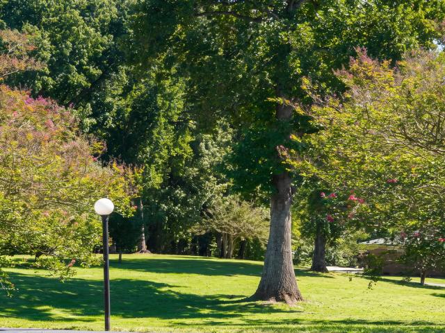 Apartment for rent in Lincolnton, Lincoln County
