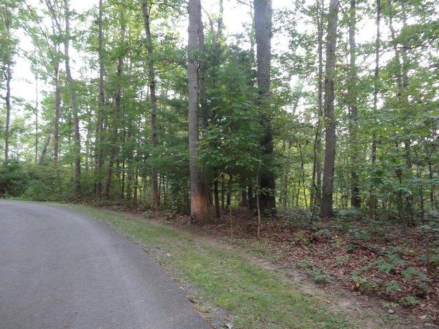 Land for sale in Caldwell, West Virginia