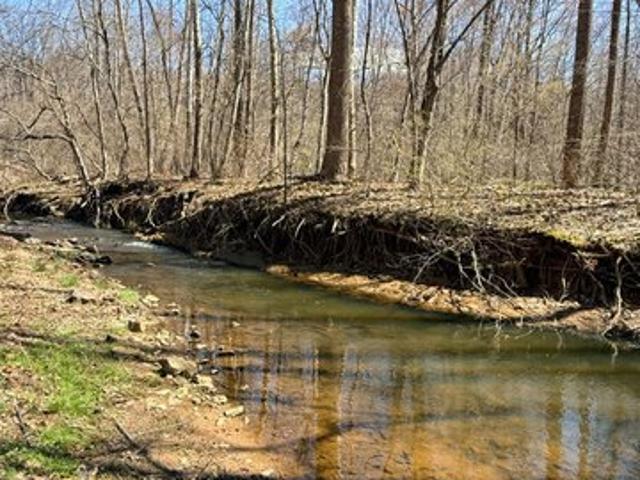 Land for sale in Virginia