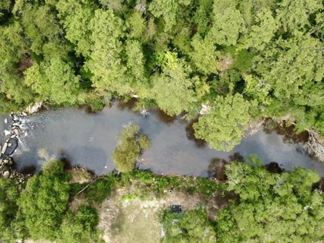Land for sale in Jasper, Alabama