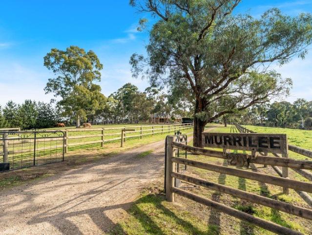 Cottage for sale in Camerons Creek, Victoria