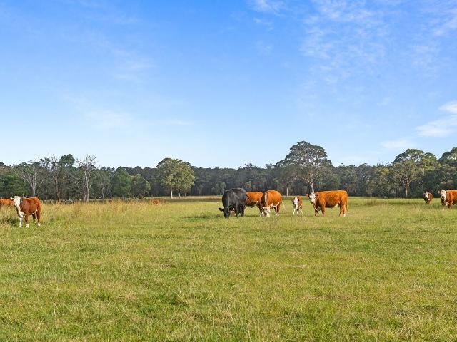Cottage for sale in High Range