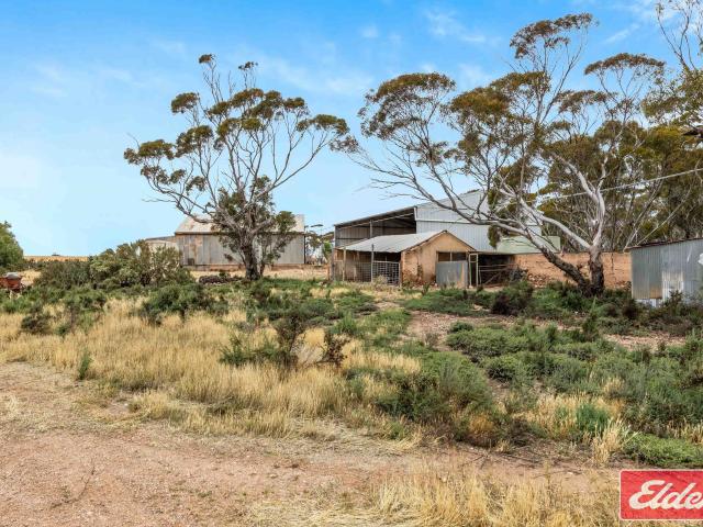 House for sale in Goyder, South Australia