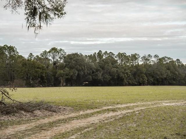 Land for sale in Chiefland, Florida