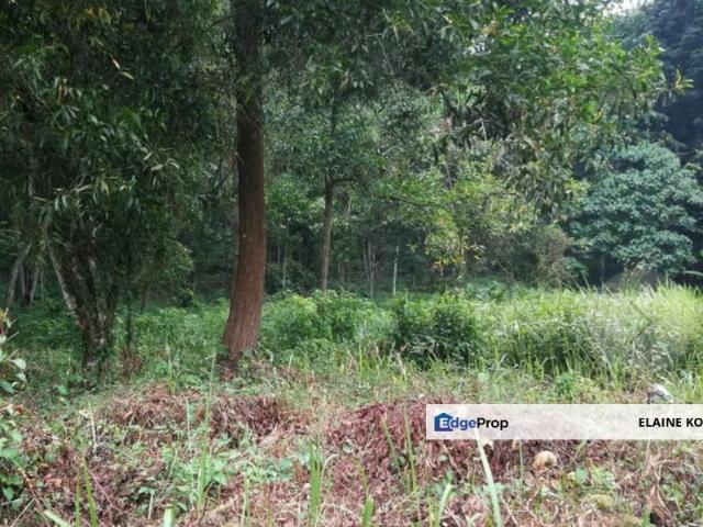 House for sale in Country Heights Damansara, Kuala Lumpur