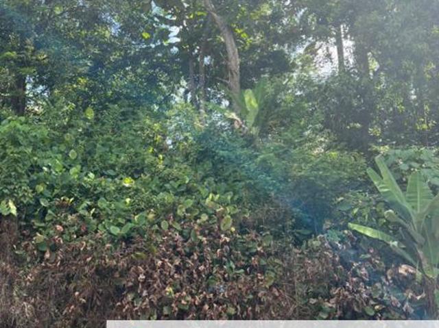 House for sale in Country Heights Damansara, Kuala Lumpur