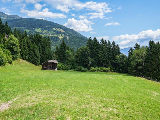 Haus mieten in Berg im Drautal, Kärnten