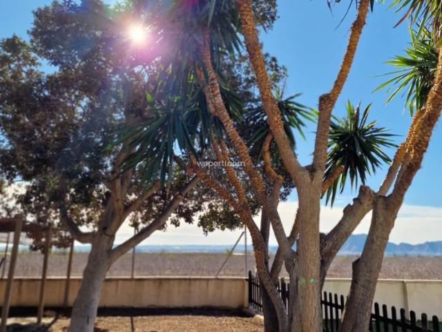Casa en alquiler en Albatera, Valencia