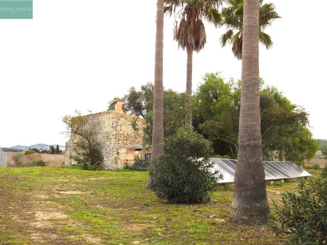 Casa en alquiler en Maria De La Salut, Baleares