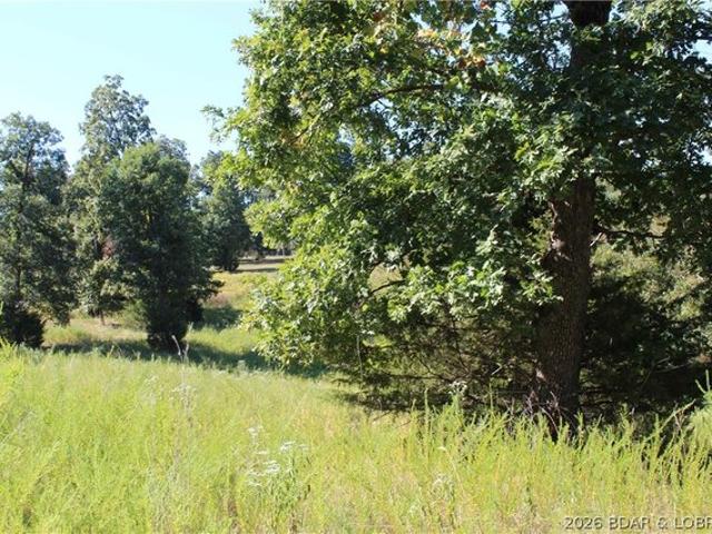 Land for sale in Gravois Mills, Missouri