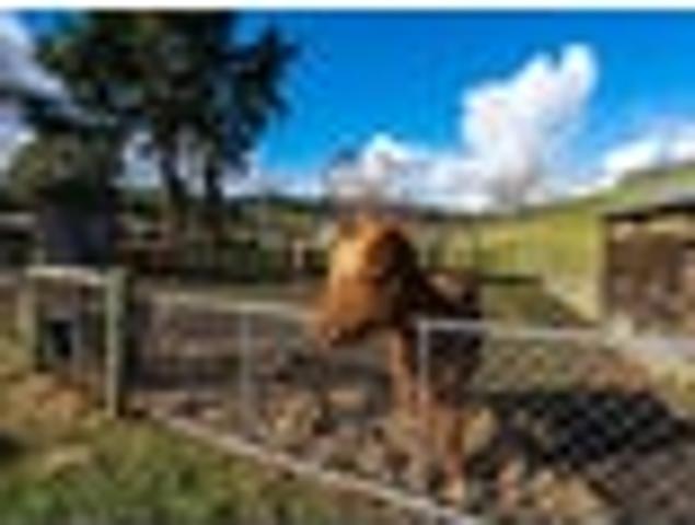 House for sale in Otakou