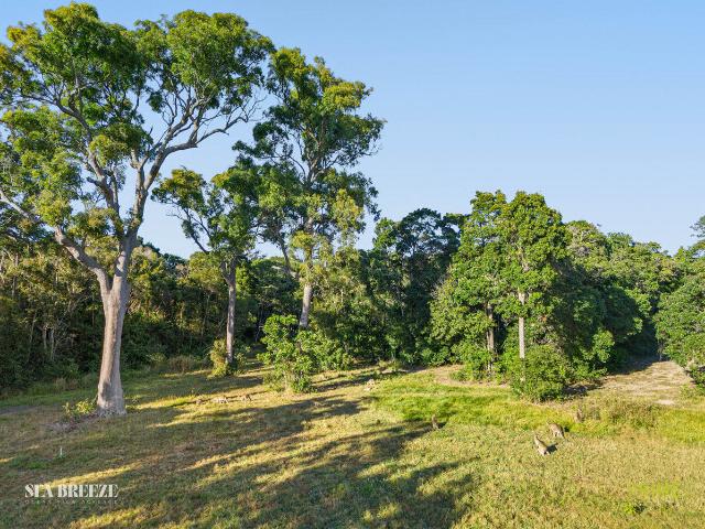 Property for sale in Craignish, Queensland