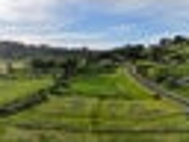 Land for sale in Otorohanga, Waikato