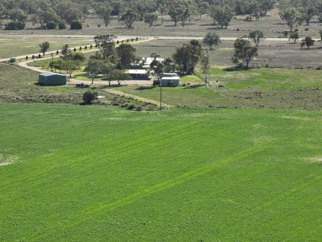 Cottage for sale in Goondiwindi, Queensland