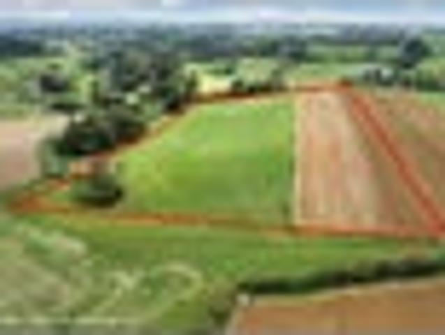 Land for sale in Franklin, Awhitu