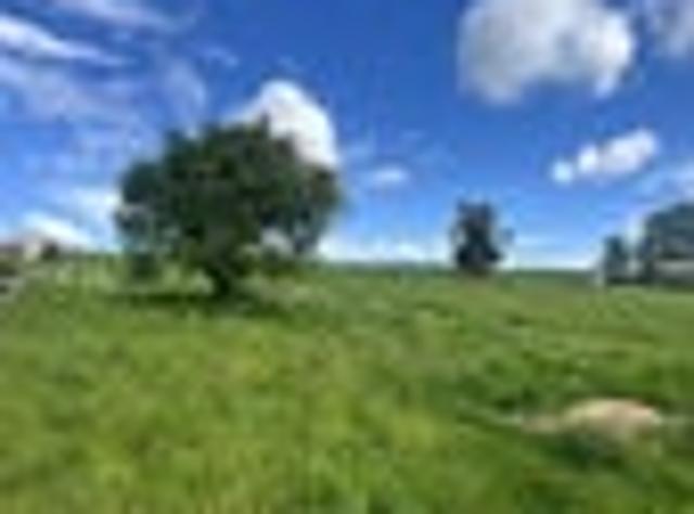 Land for sale in Longwood, Southland