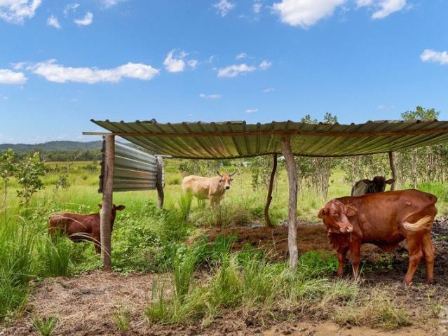Land for sale in Biboohra, Queensland