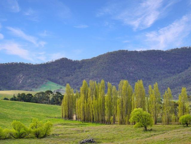 Cottage for sale in Sodwalls, Lithgow City Council