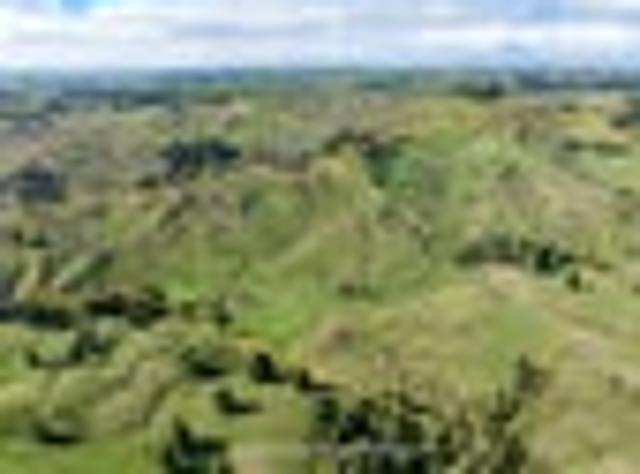House for sale in Onewhero, Waikato