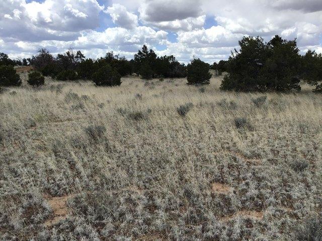 Land for sale in Ramah, New Mexico