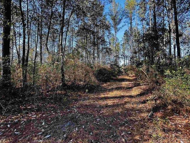 Land for sale in Jay, Florida