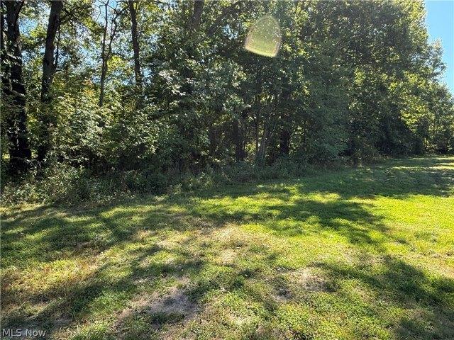 Land for sale in Grafton, Lorain County