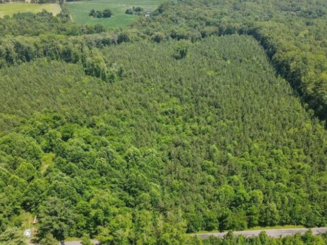Land for sale in Beaverdam Land for sale in Beaverdam