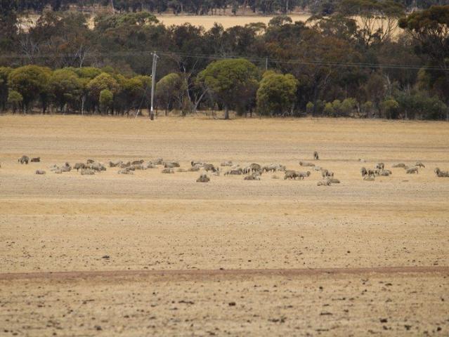 Cottage for sale in Ewlyamartup, Western Australia