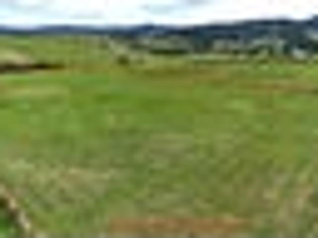 Land for sale in Kawau Island