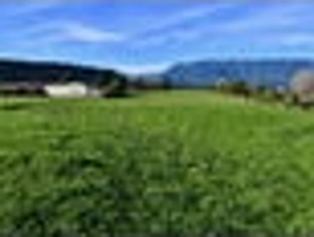 Land for sale in Karamea, West Coast