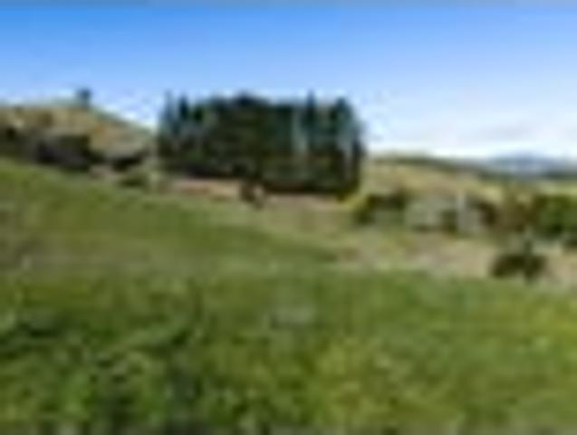 Land for sale in Waikato