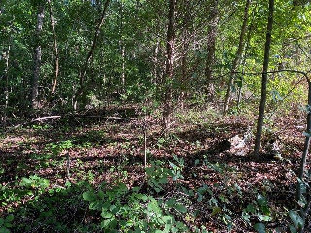 Land for sale in Tennessee