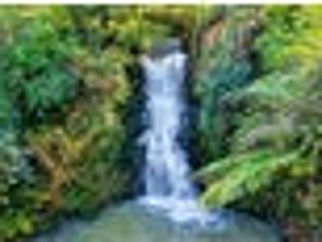 Land for sale in Waikato