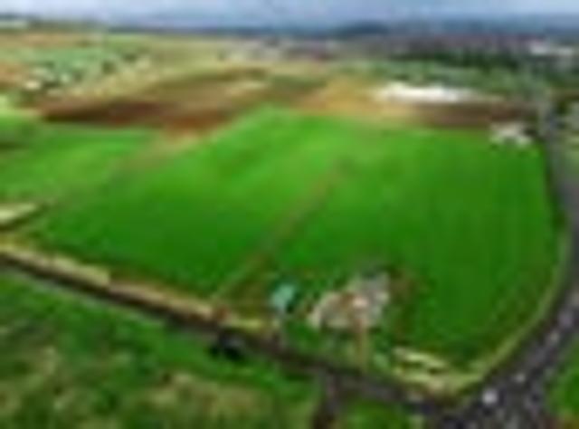 Land for sale in Pukekohe, Auckland