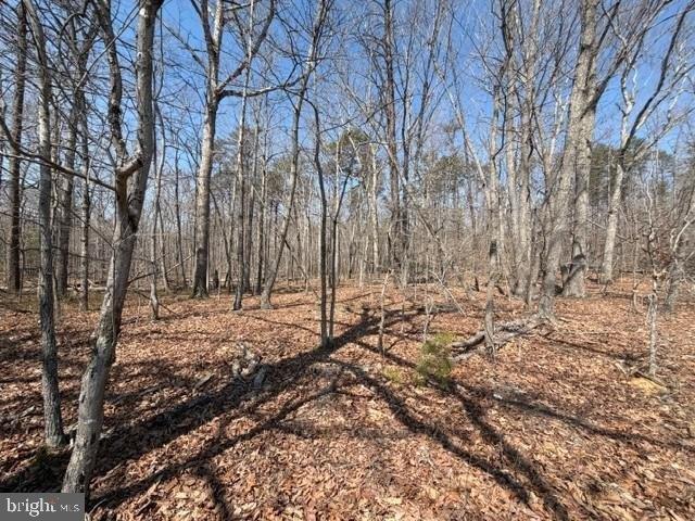 Land for sale in Virginia