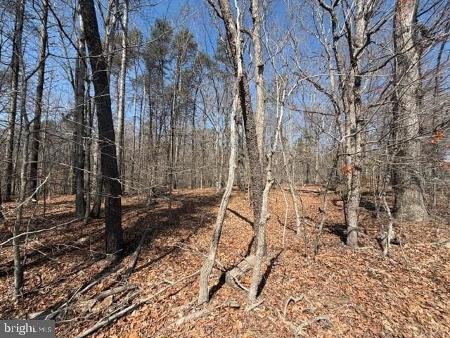 Land for sale in Virginia